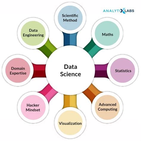 Understanding the Role of