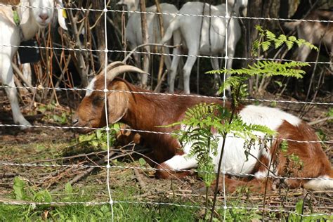 Understanding the Impact of